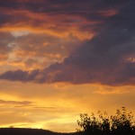 DSC06572